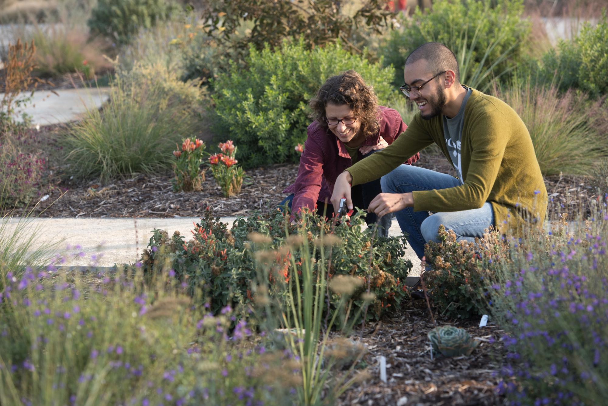 A man and woman work in a garden together