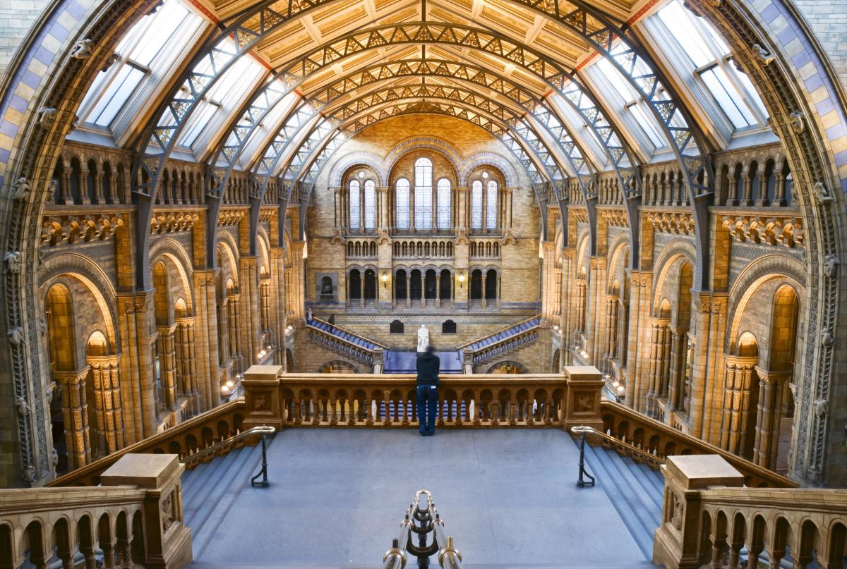 Natural History Museum