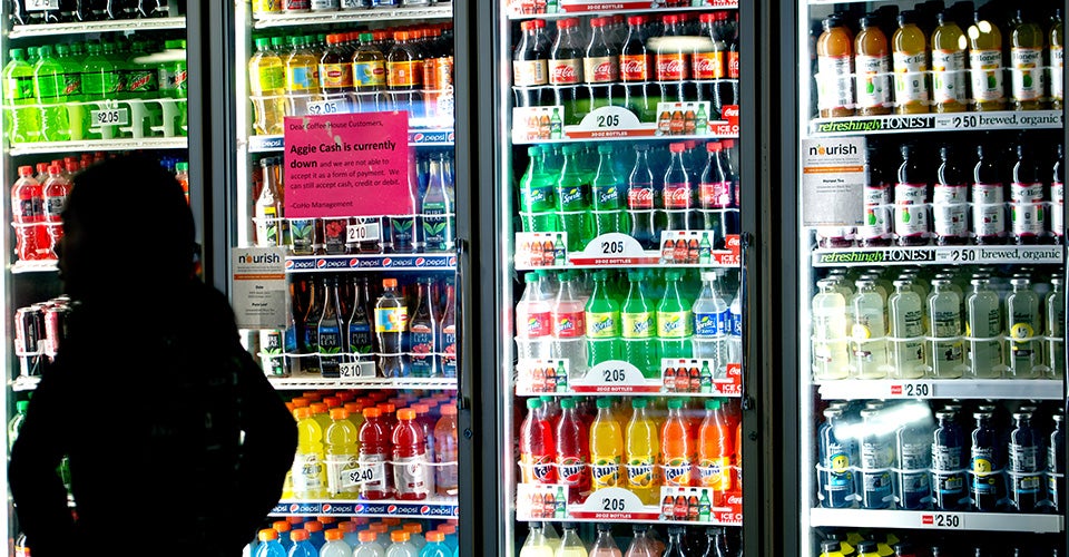 cognitive science major choices uc davis