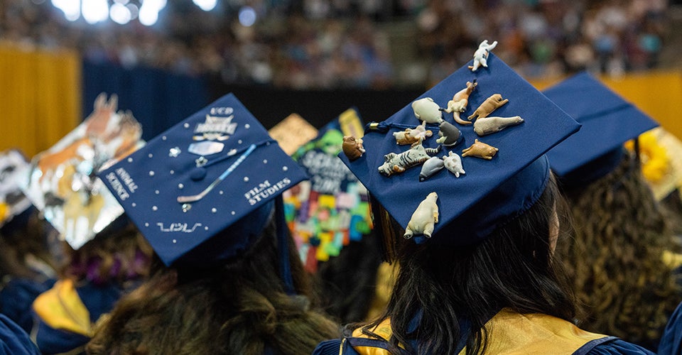 graduation cap contest uc davis