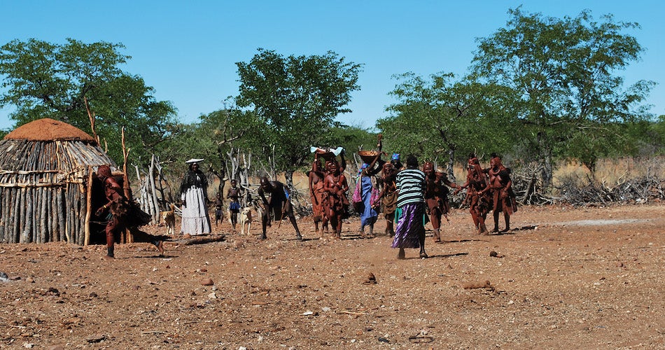 In the lab of Associate Professor Brenna Henn, Williams was trying to parse apart familial relationships in African hunter-gatherer and pastoralist groups, like the Himba. Elizabeth Atkinson