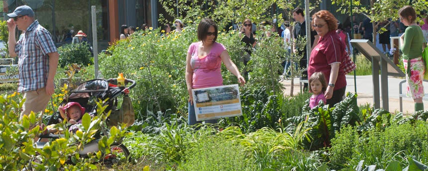 People of all ages walk through a garden on a sunny day