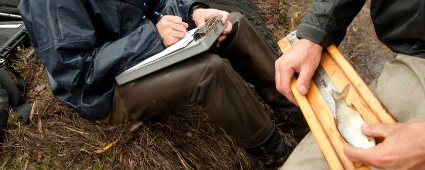 Two men sit on a river bank and measure a small fish