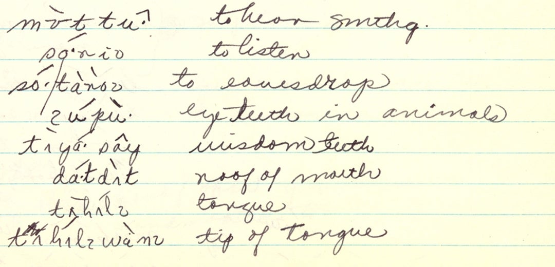 In writing "A Grammar of Patwin," Lawyer compiled information found in archives across the country, like these 1952 notes from the Elizabeth Bright Papers on the Patwin Language, at the Survey for California and other Indian Languages, UC Berkeley.