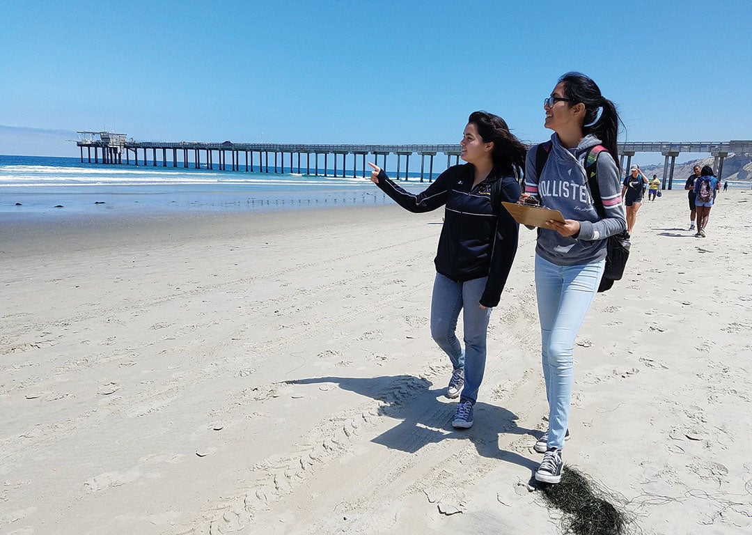 Two women walk on a wide beach overlooking the ocean holding clipboars. One is pointing to something in the water out of the camera frame.