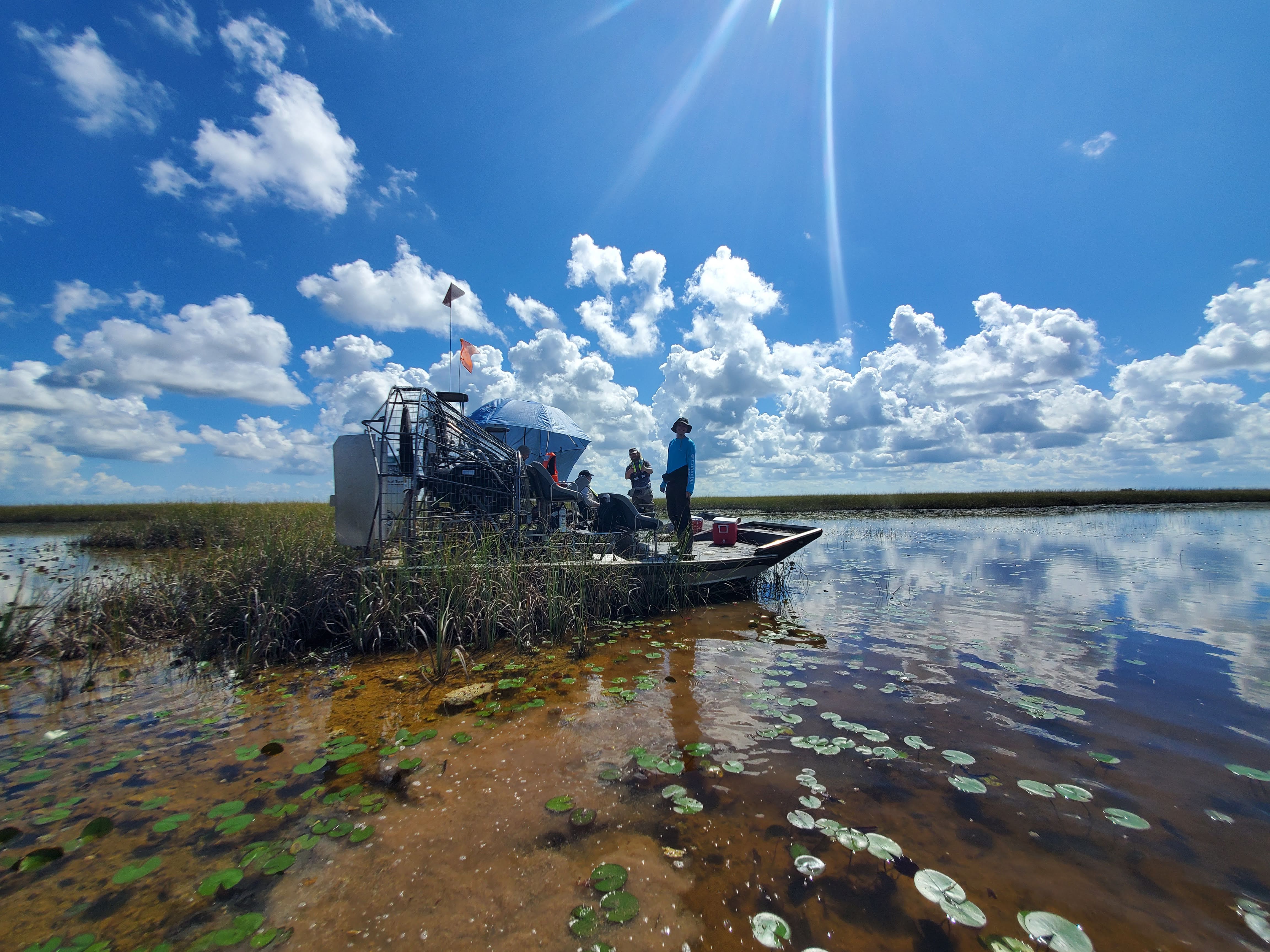 Researchers stand on boat in shallow brown water of Florida Everglades. Lilypads float on the water. Fluffy clouds dot a blue sky.