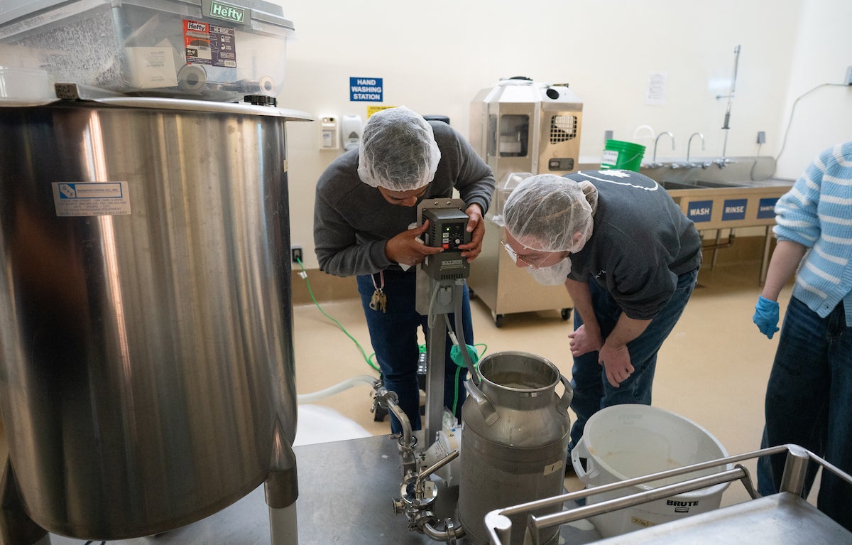Amy Fletcher, Pilot Plant manager, and Reid Waterman, third-year food science major, start the ice cream maker in the pilot food processing facility on the UC Davis campus. The two wearing protective hair nets, examine a large stainless steel vat before beginning the ice cream-making process. Store bought ice-cream usually falls into the "ultra-processed" food category. (Alysha Beck / UC Davis)