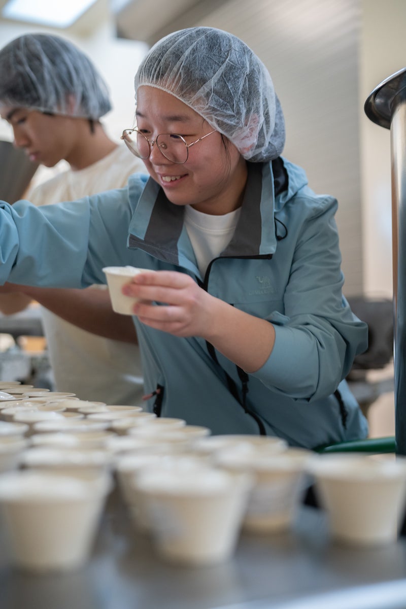 Poll Zhang, third-year food science major, prepares ice cream in the food processing facility on the UC Davis campus. (Alysha Beck / UC Davis) She wears a hair net and holds a small cardboard cup of ice-cream in her hand. In front of her are several cups on display.