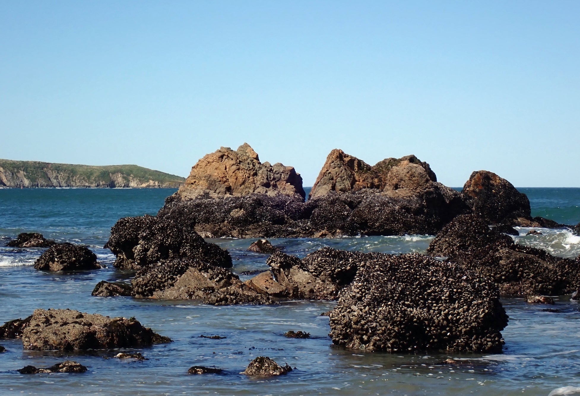 Rocks, sea stacks and mussel beds off the shores of Dillon Beach in northern California