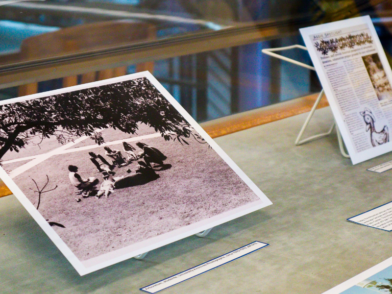 Students in the Arboretum, circa 1970-1979. (Courtesy, Shields Library)