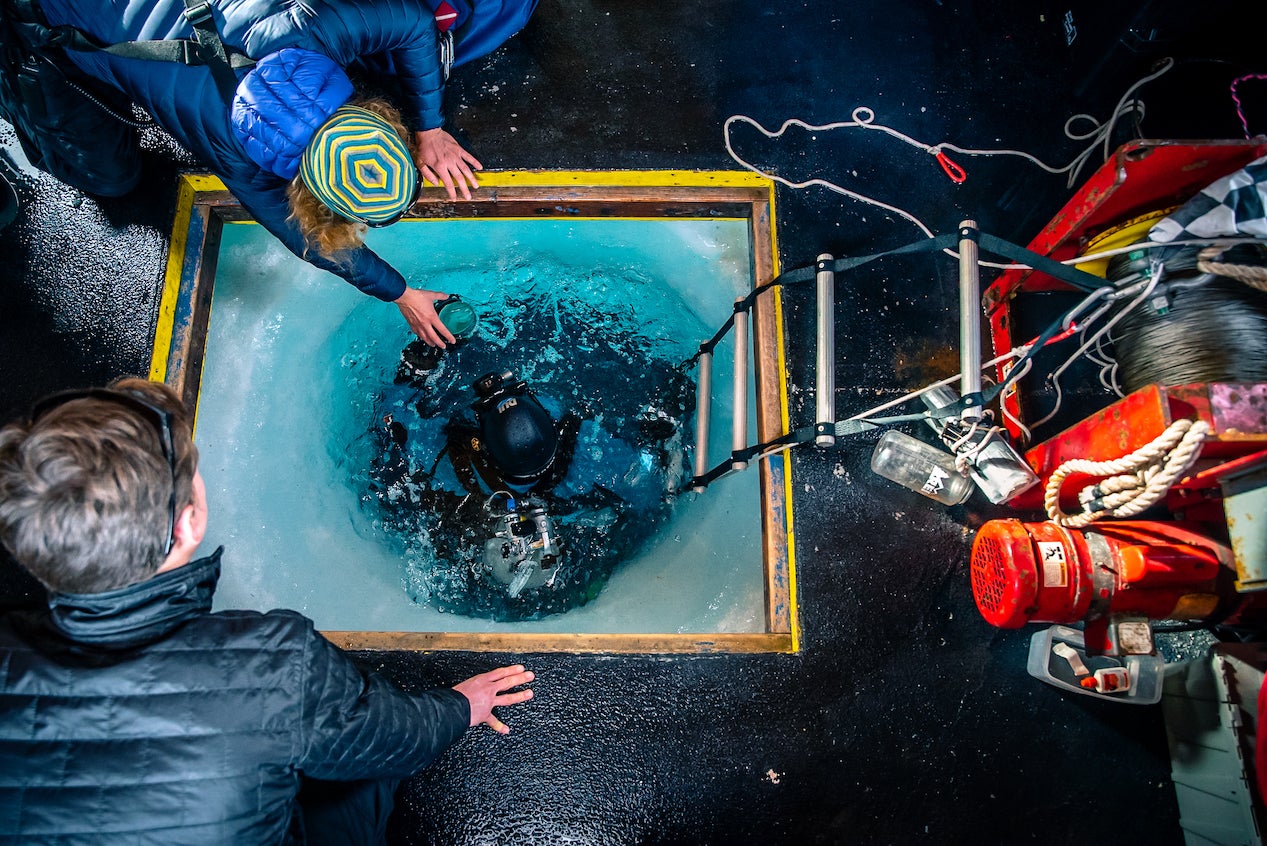 Woman diver drops down into ice hole to dive in Antarctica
