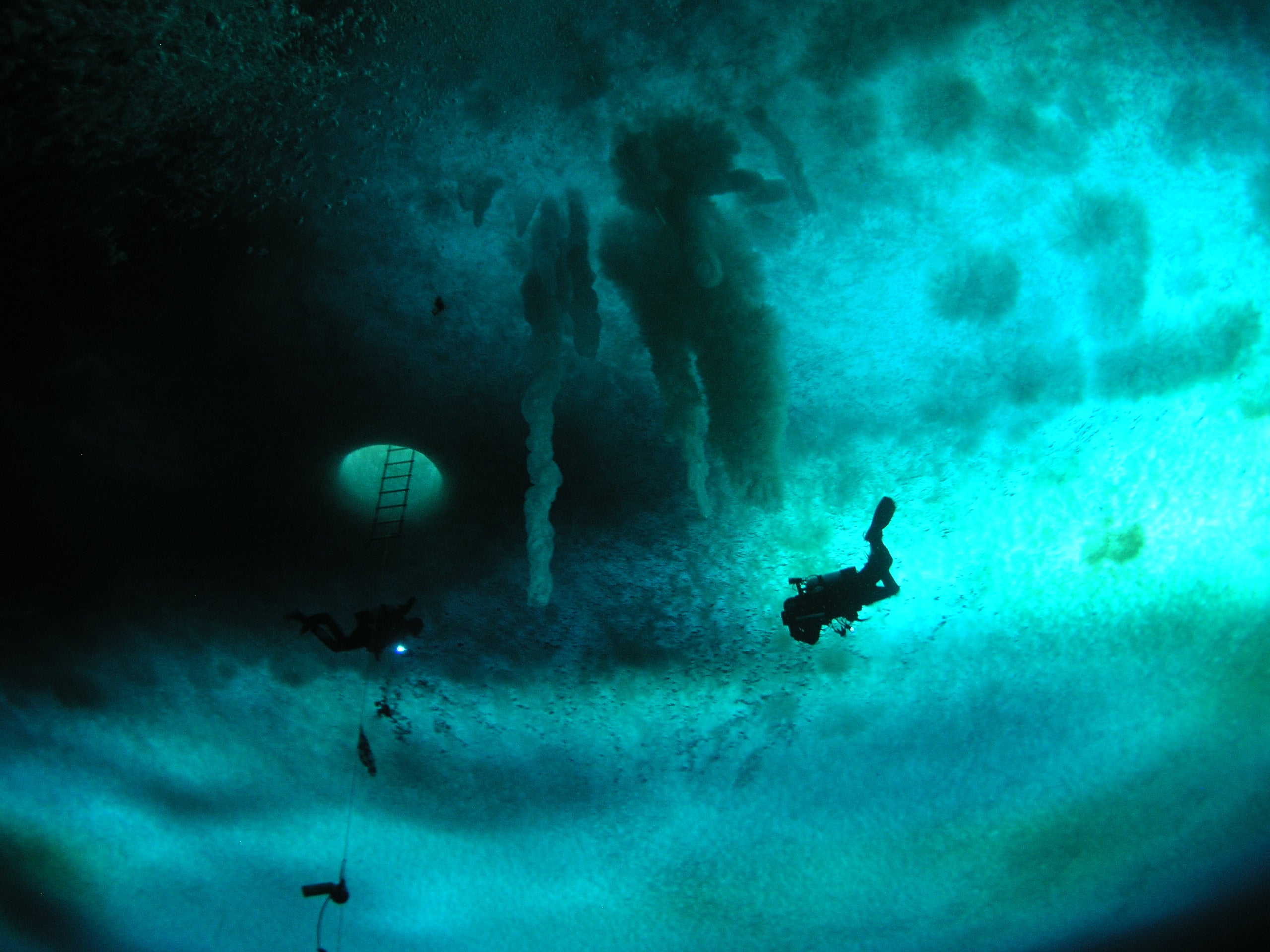 A diver swims under ice of Antarctica's McMurdo Sound.