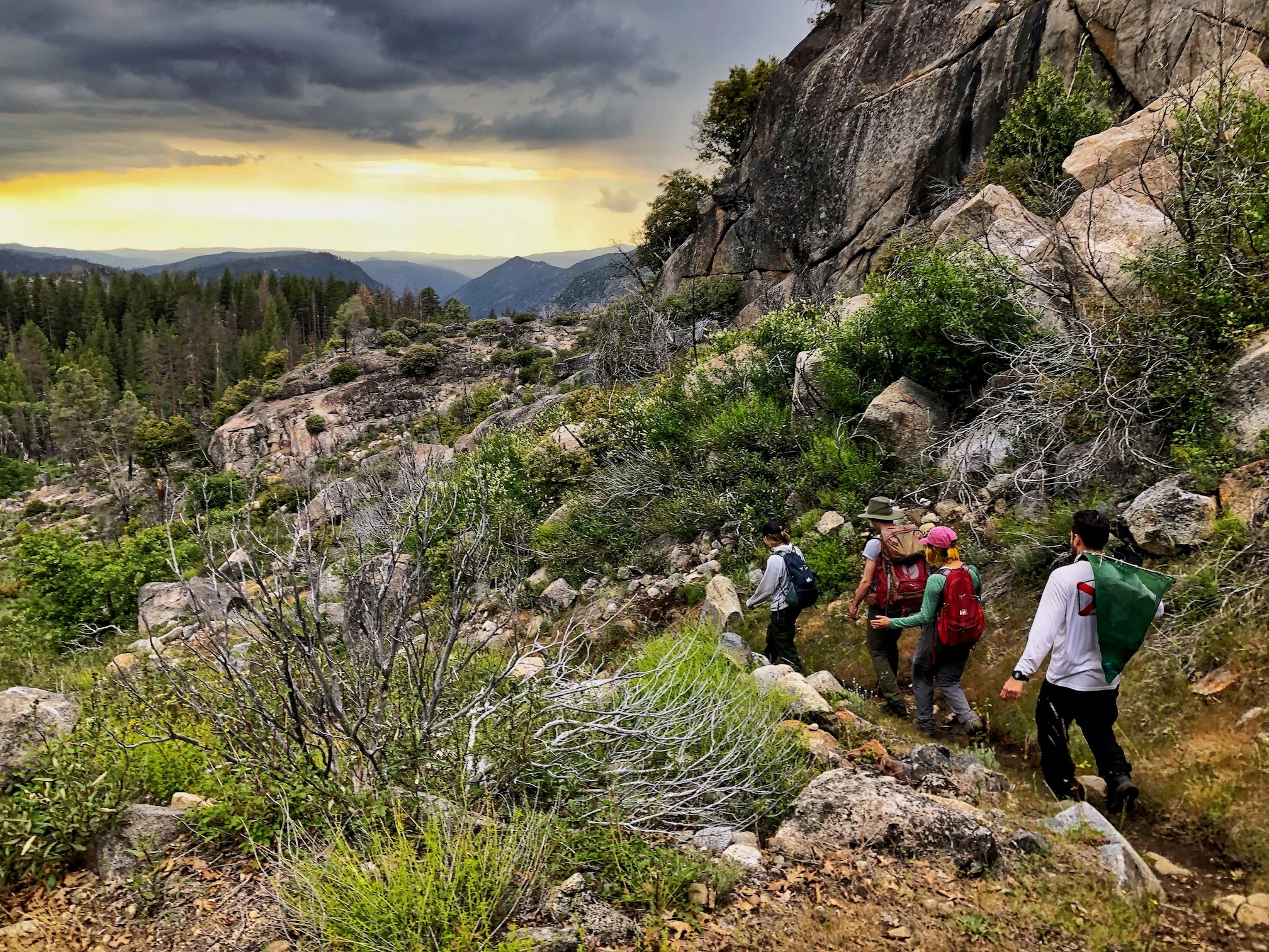 Four people with backs to camera hike along a trail near Yosemite National Park