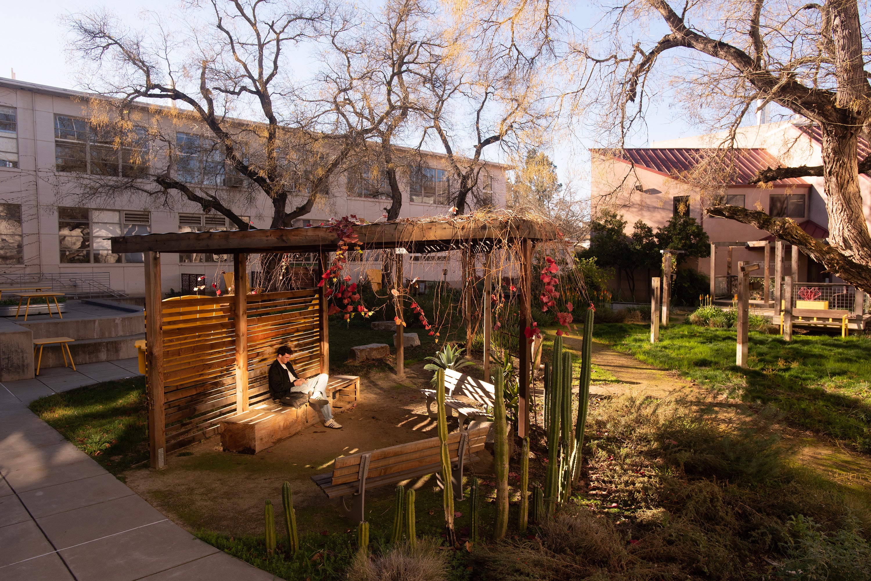 Picture of student created gazebo (Courtesy)