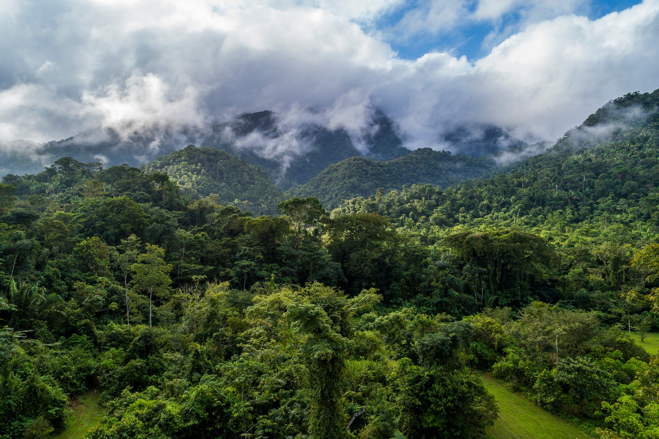 clouds swirl over densely forested mountains and trees 