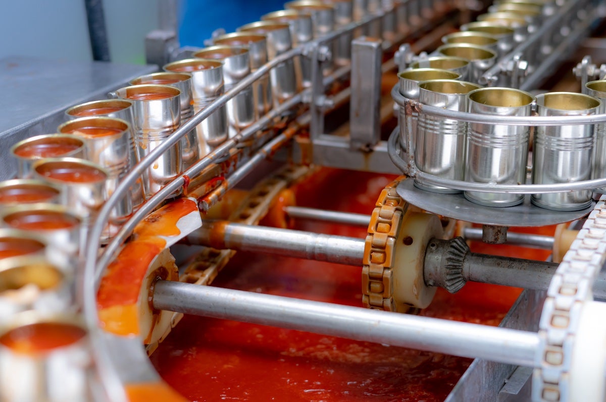 A food manufacturing facility canning sardines with tomato sauce on a conveyor belt. The NOVA classification system considers canned fish a processed food.  (Getty)