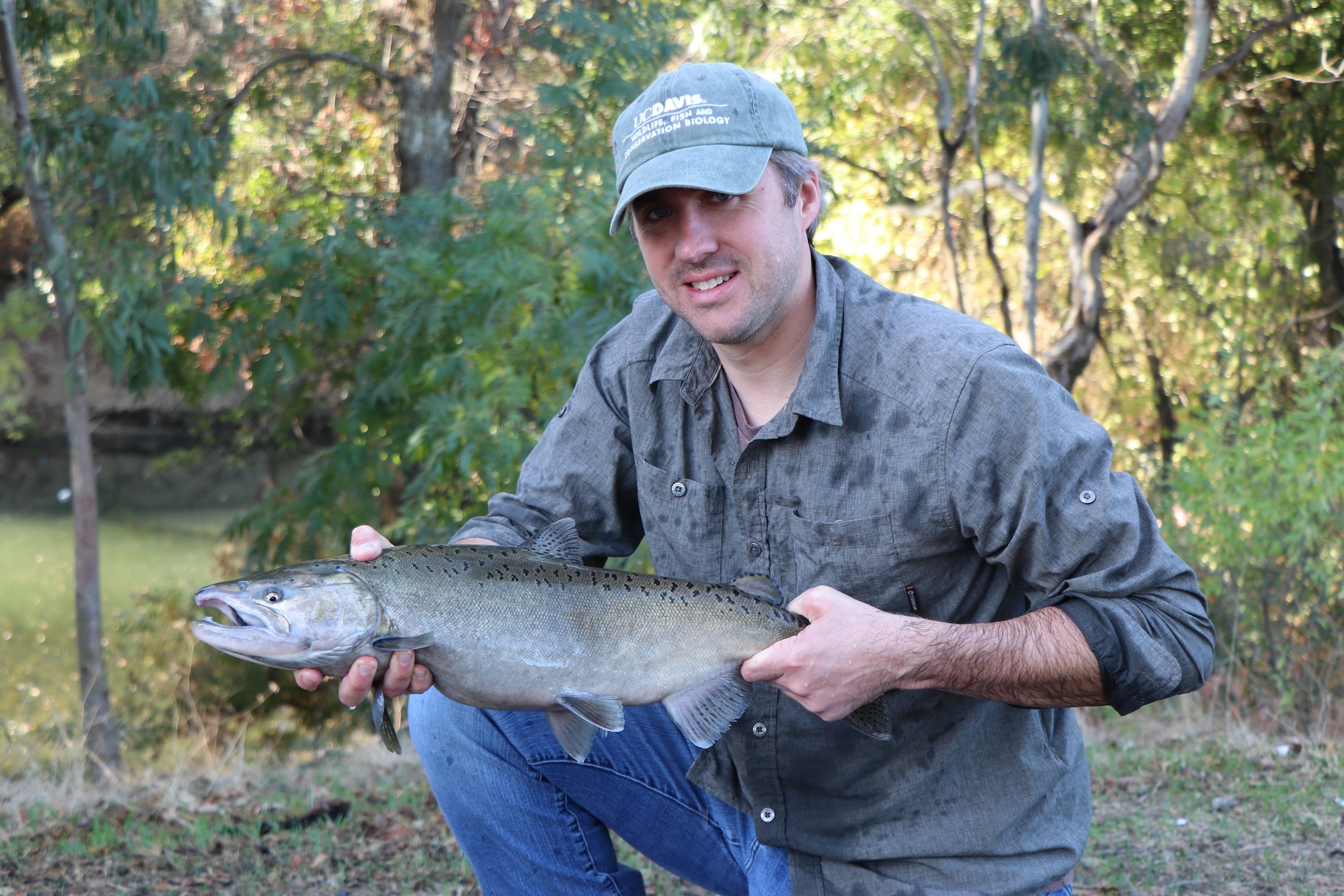 UC Davis professor Andrew Rypel smiles in UC Davi shat while holding adult chinook salmon with trees in background