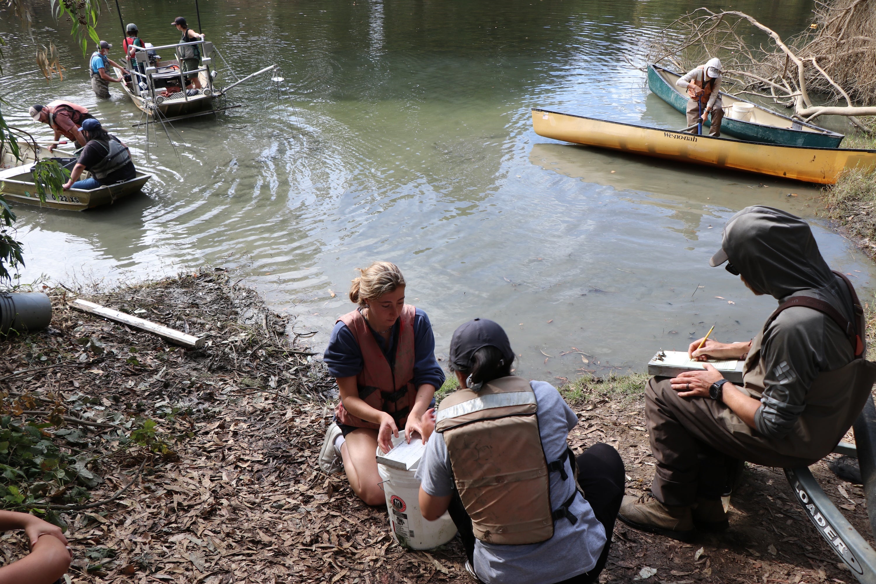 Nine UC Davis students take notes on a bank, sit or stand in boats or wade in Putah Creek as part of class