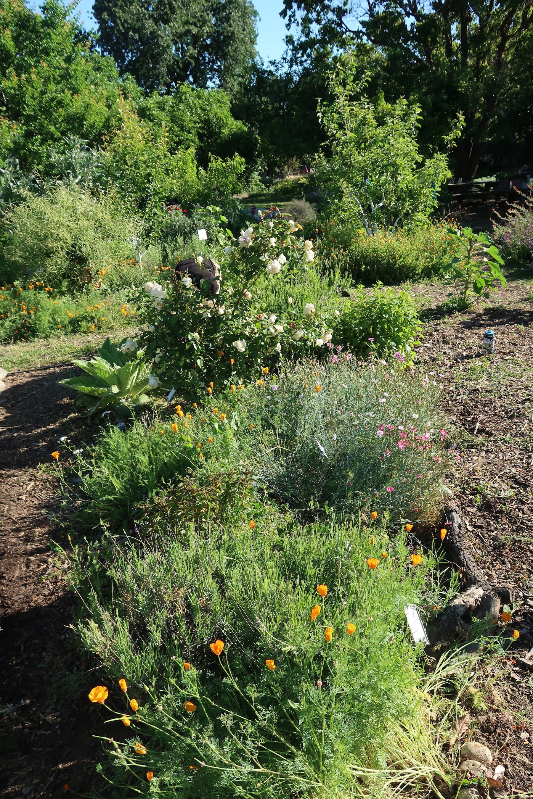 Full picture of the queer garden