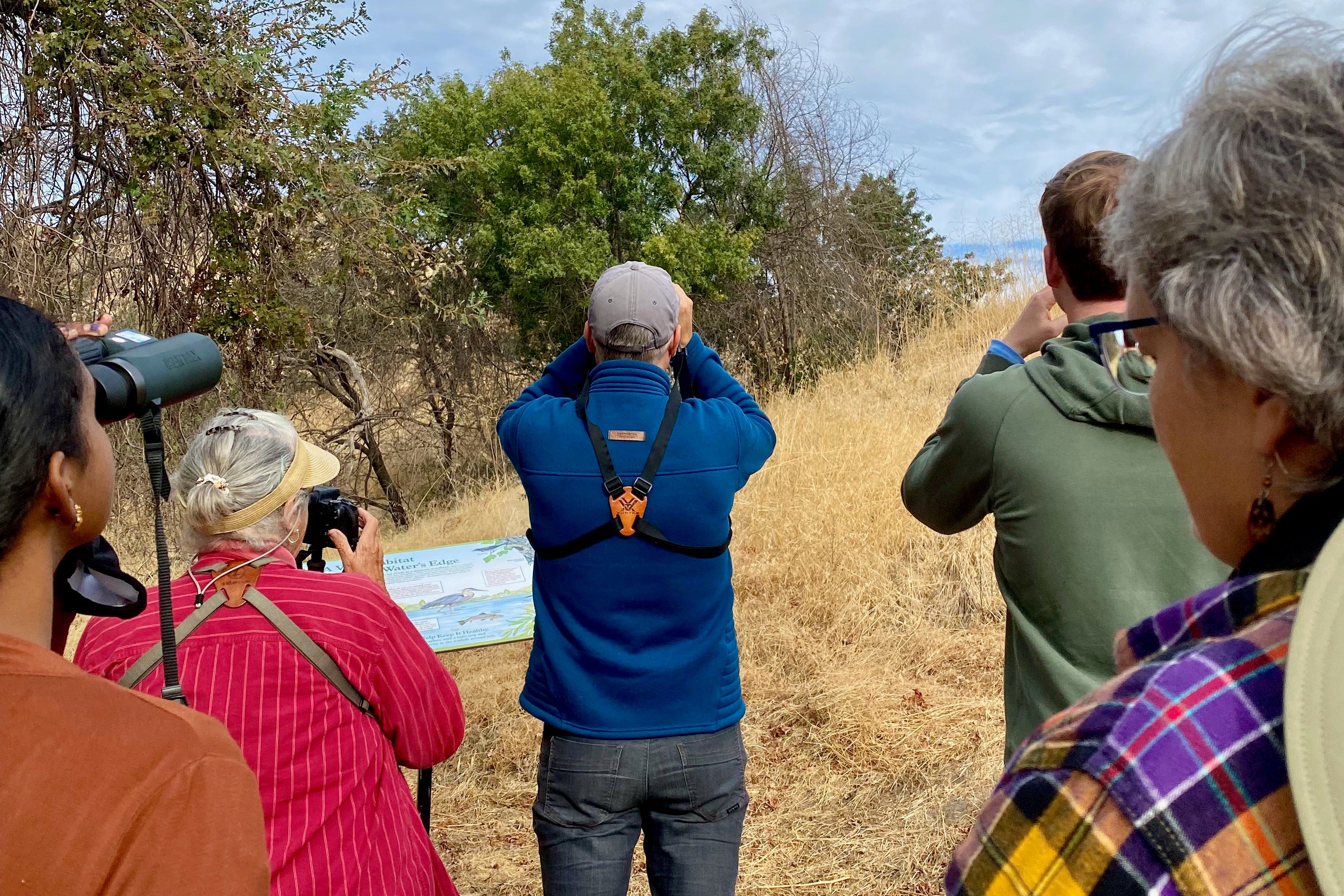 Birders with backs to camera point binoculars at treetops and sky