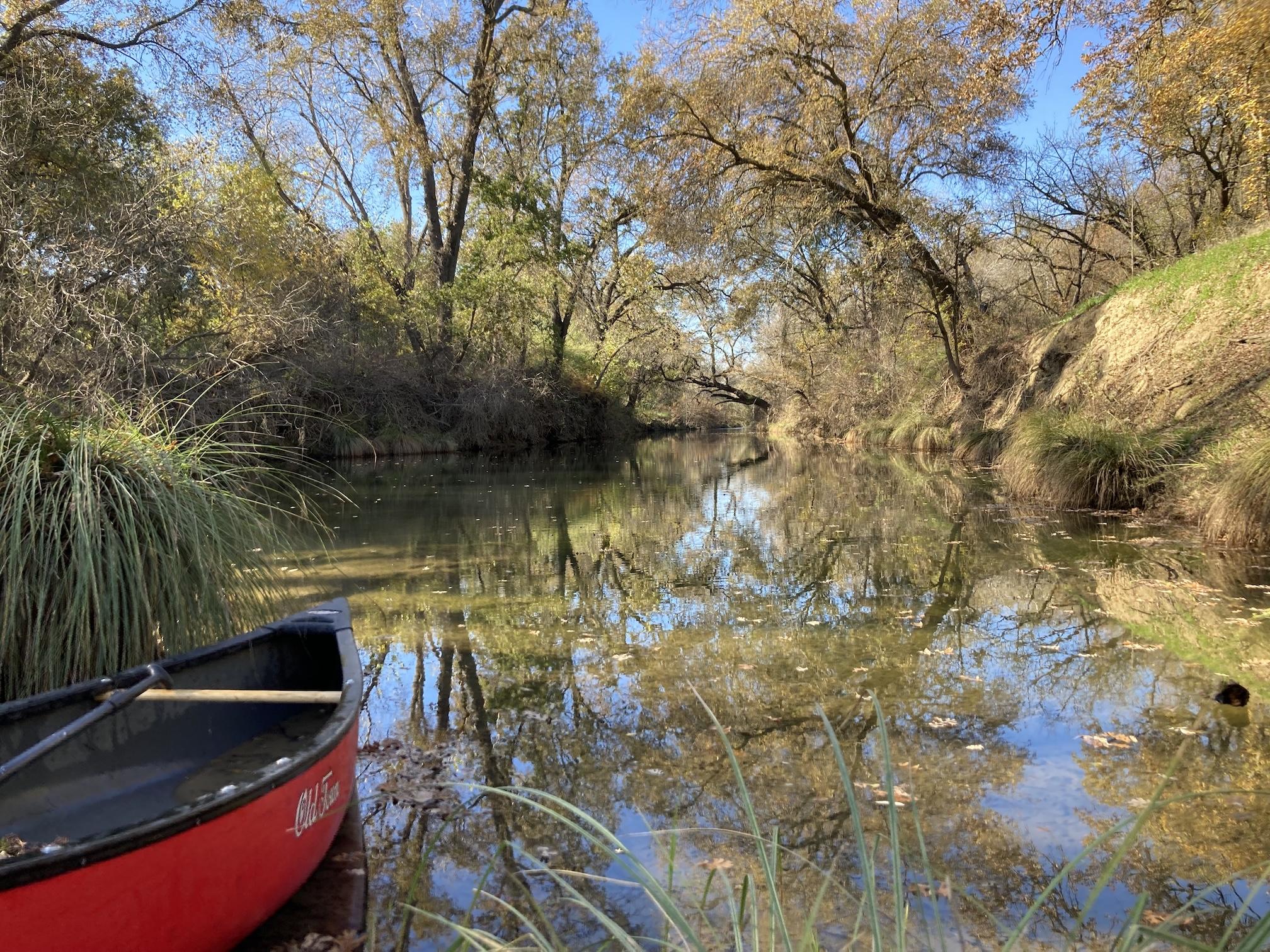 The front of red canoe emerges from left side of image onto Putah Creek with trees in background and reflected on water