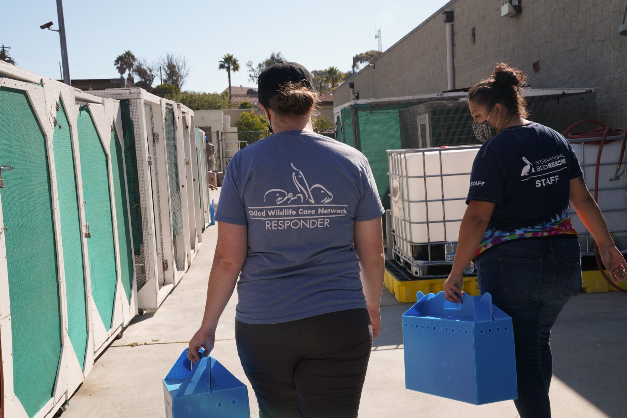 Two people carry blue bird boxes along an alleyway