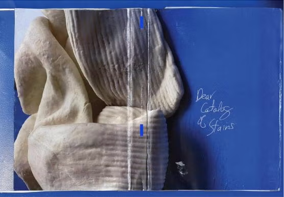 Rebeca Bollinger, “Dear Catalog of Stains (part one”2022, cover, spine, and back cover of a limited-edition artist book published by KRUPSKAYA Books, 9 x 13 x .25 inches (courtesy).