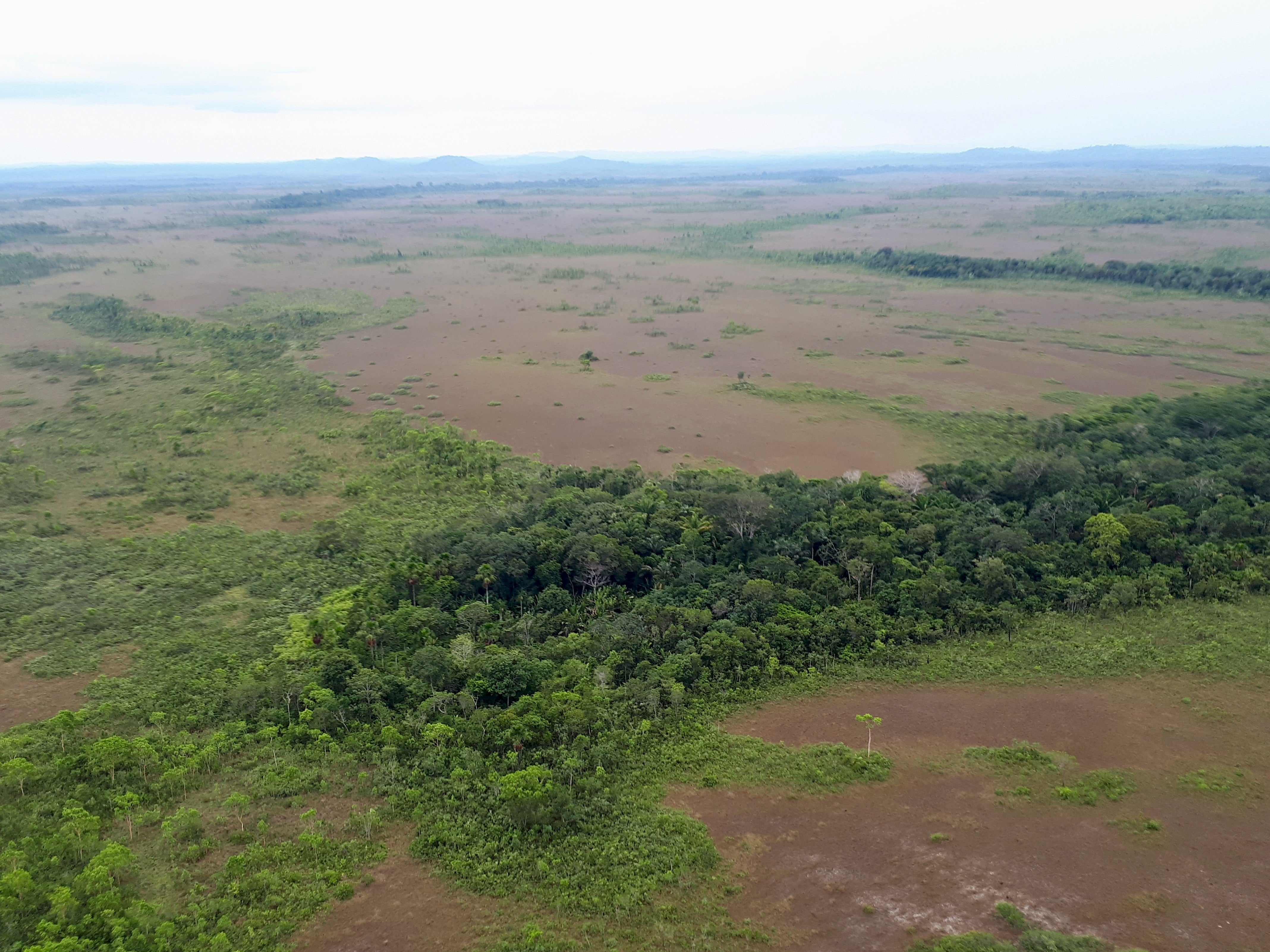 Aerial view of Brazilian rainforest and the forest edge