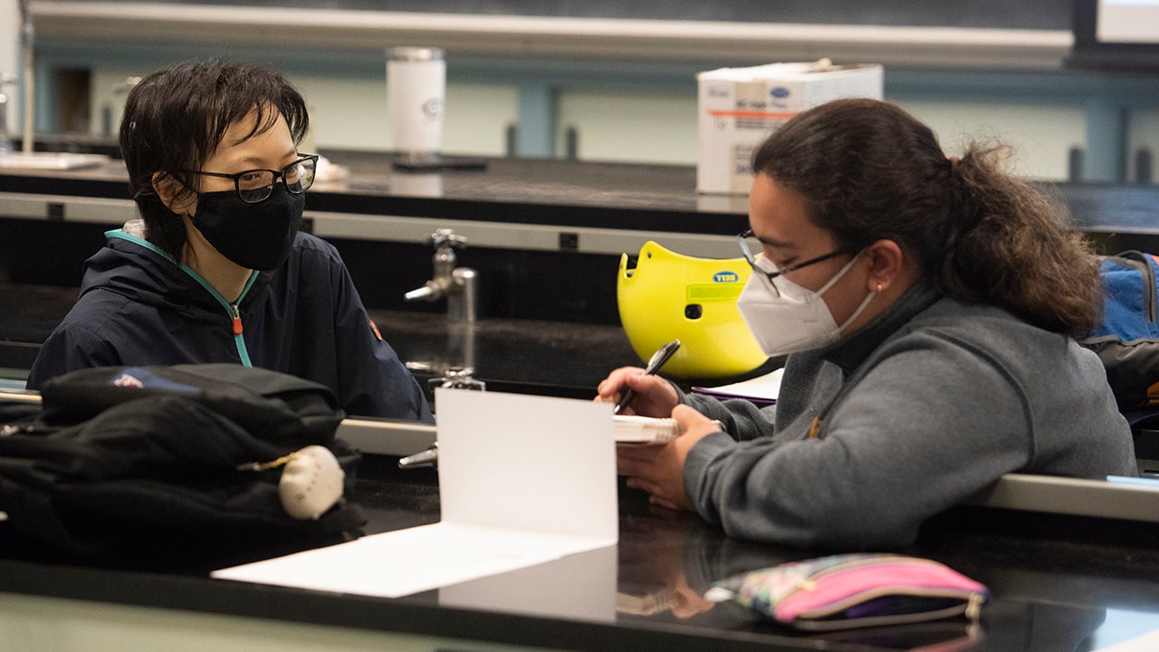Two female students face each other as they work on a project