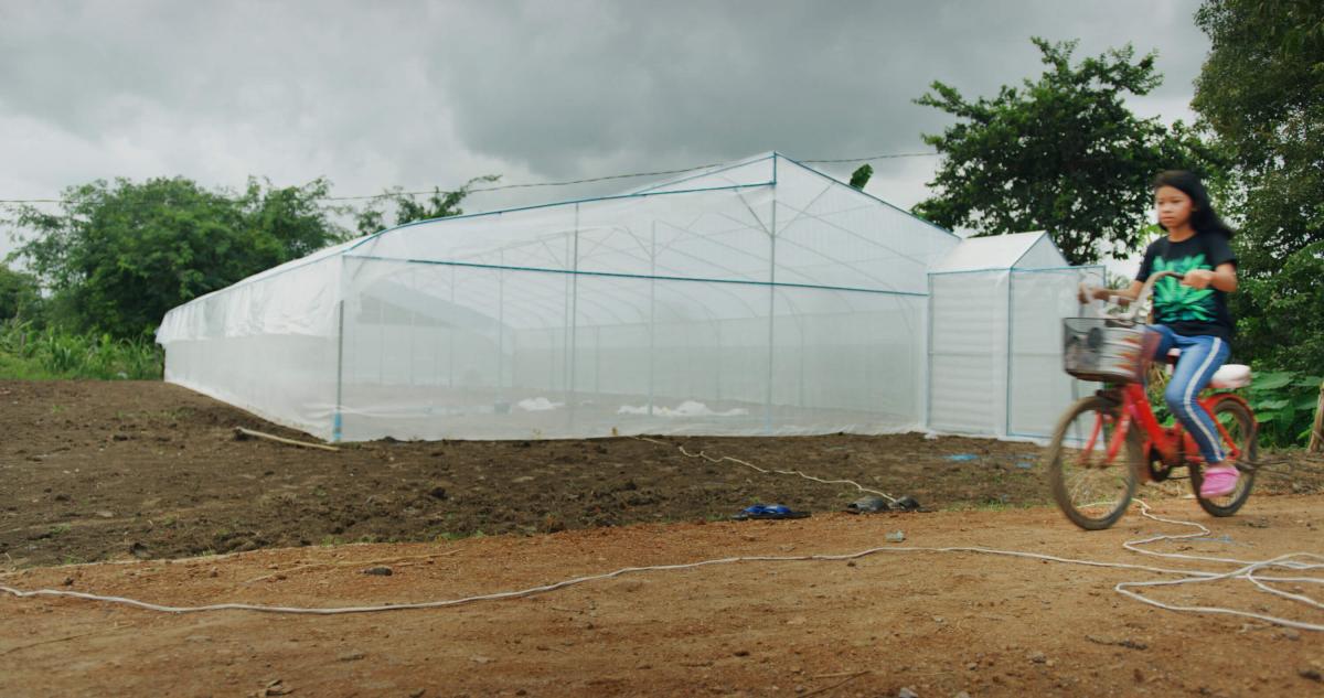 girl biking in front of greenhouse