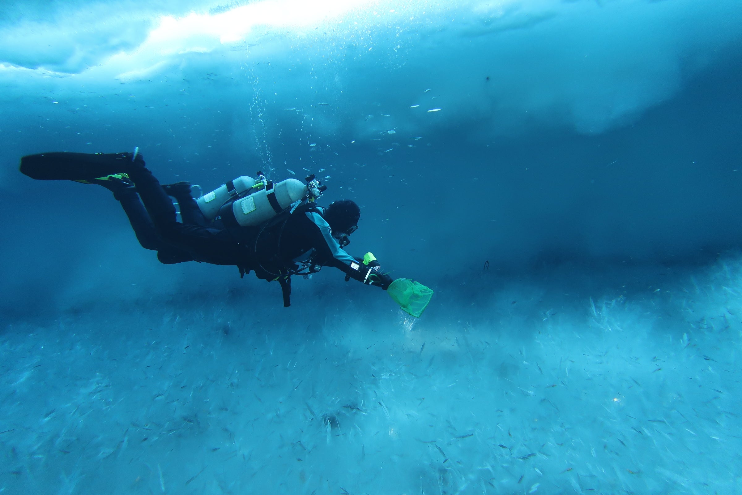 Woman dives under and over ice in Antarctica