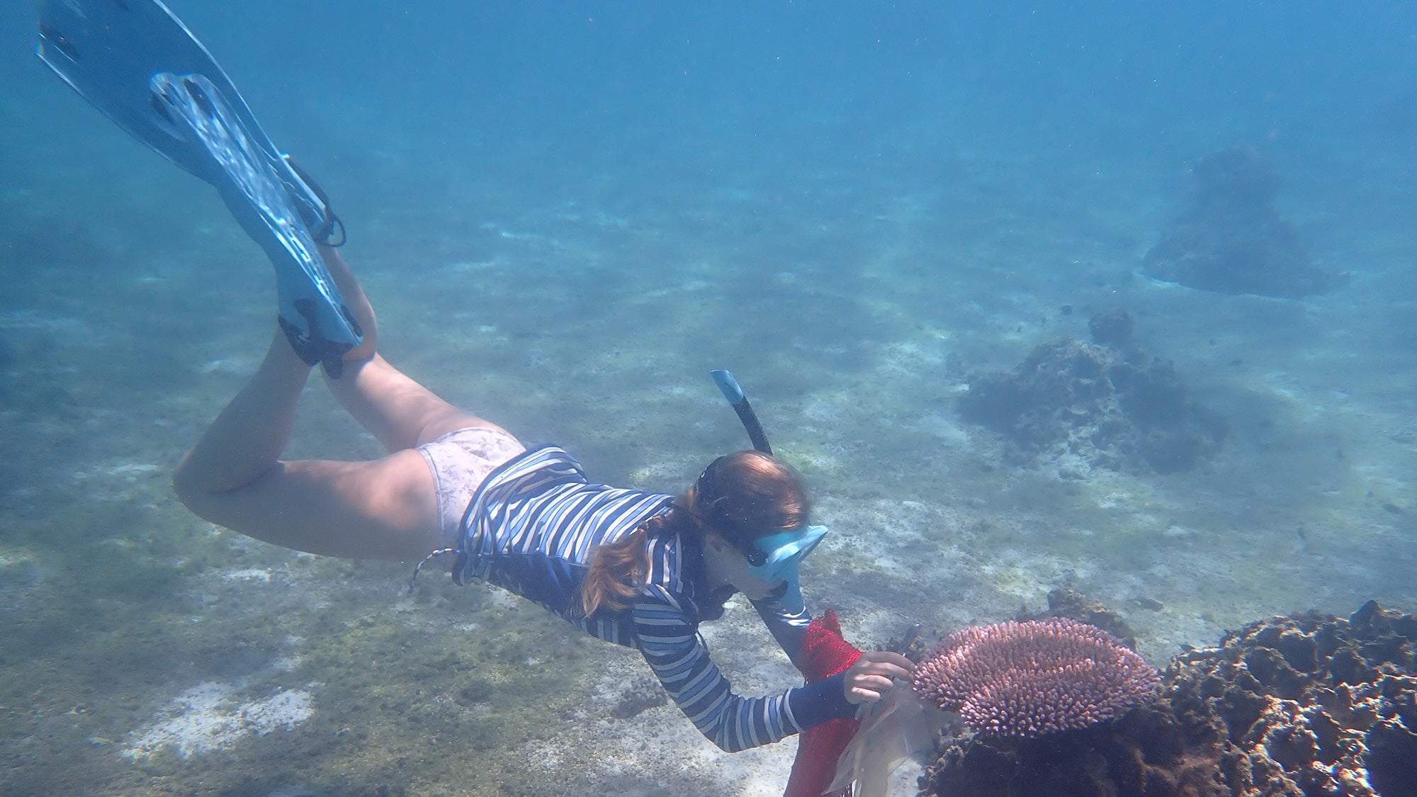 Diving underwater to look at a coral