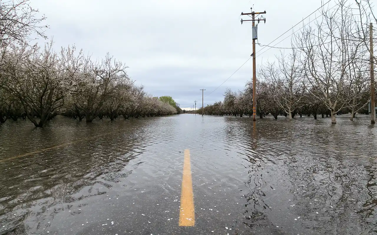 Photo of a flooded highway with flooded almond orchards on both sides of the road.