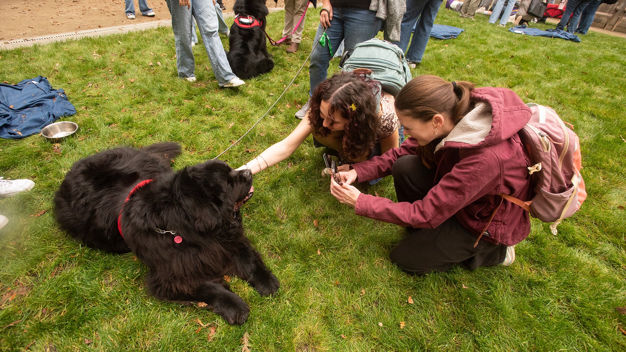 Two students pet and photograph a big black dog