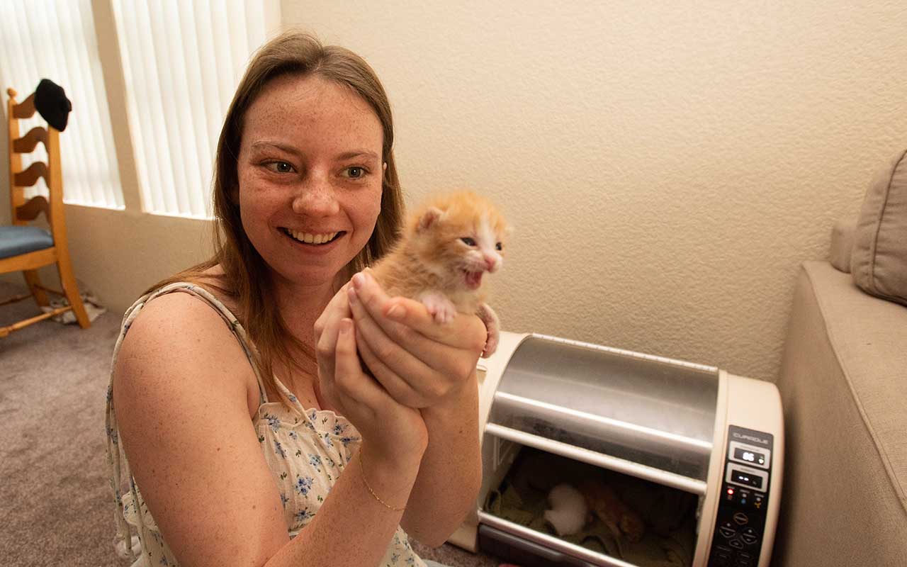A woman holds up a tabby kitten near her face and smiles at the camera. She is in an apartment with a couch, table and incubator in the background. The incubator has a white kitten inside.