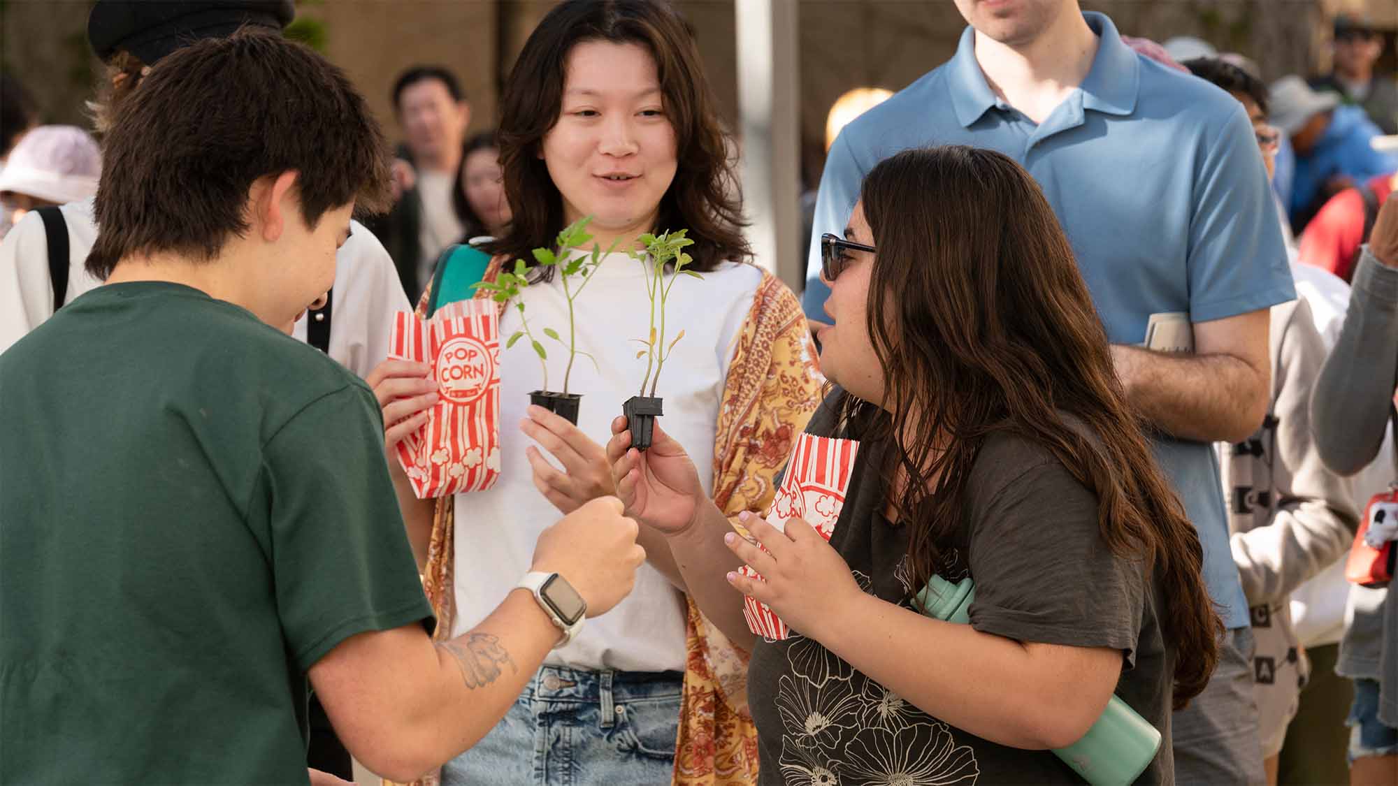 Two people hold tomato plants that were given away at Picnic Day