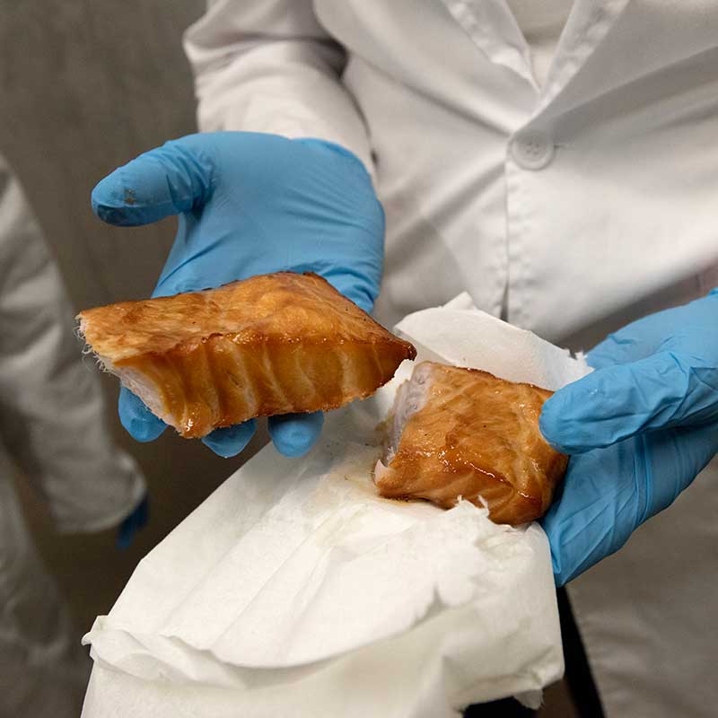 Closeup photo of blue-gloved hands holding fish meat.