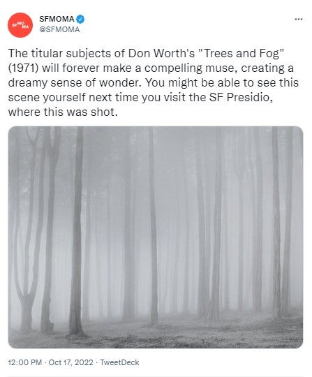 Social media photo for UC Davis Arts Blog feature