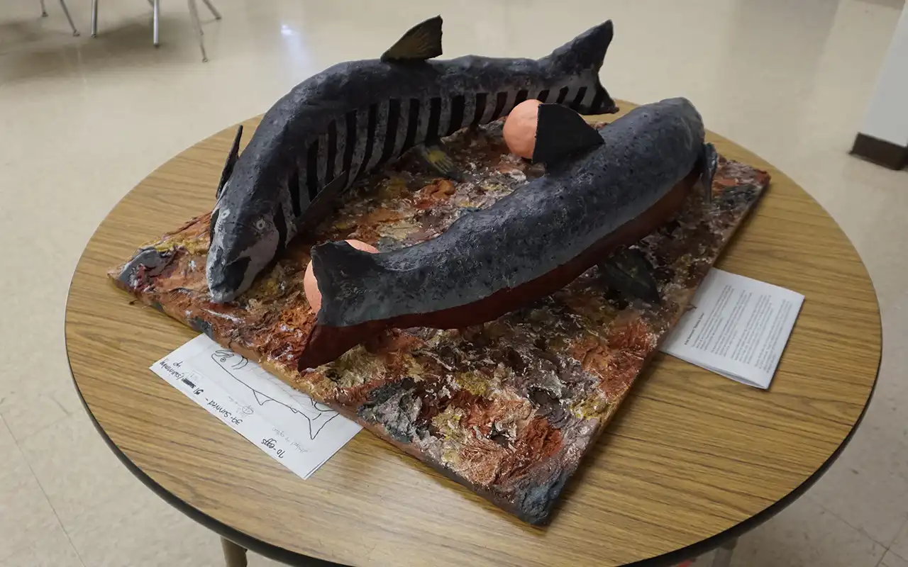 Papier mache model of two adult salmon swimming opposite ways around two large salmon eggs.