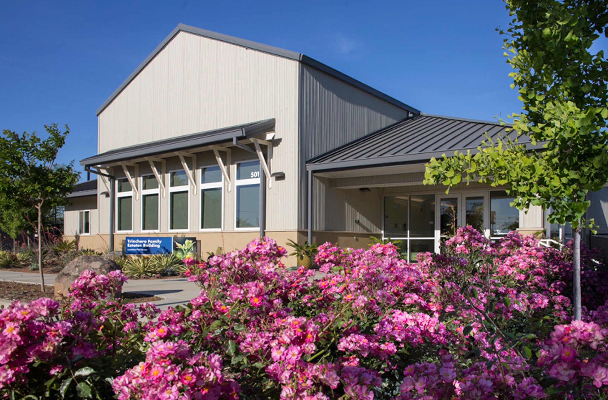 New building with flowers in the foreground