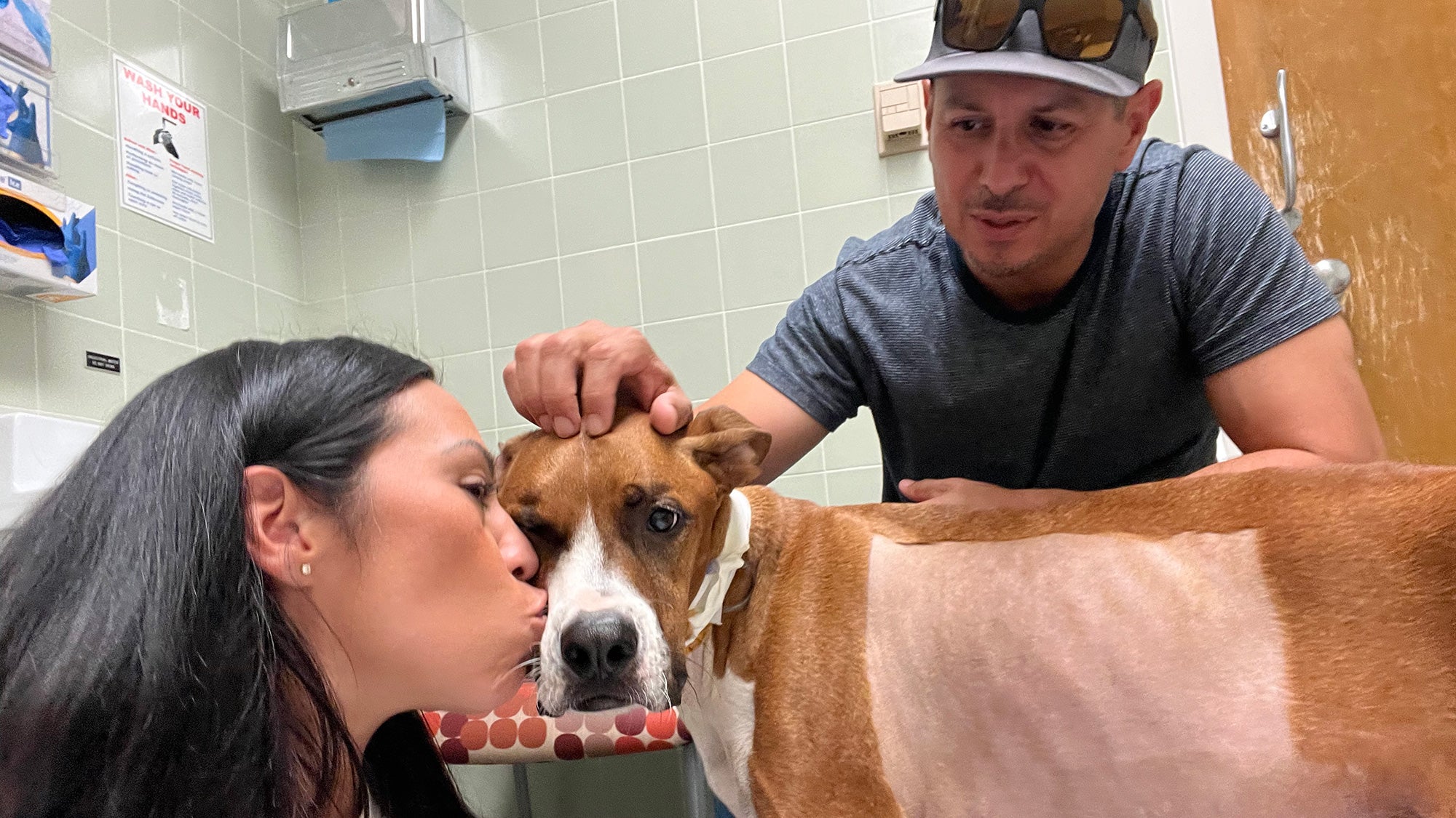 Woman kisses dog, man pets dog in a veterinary office