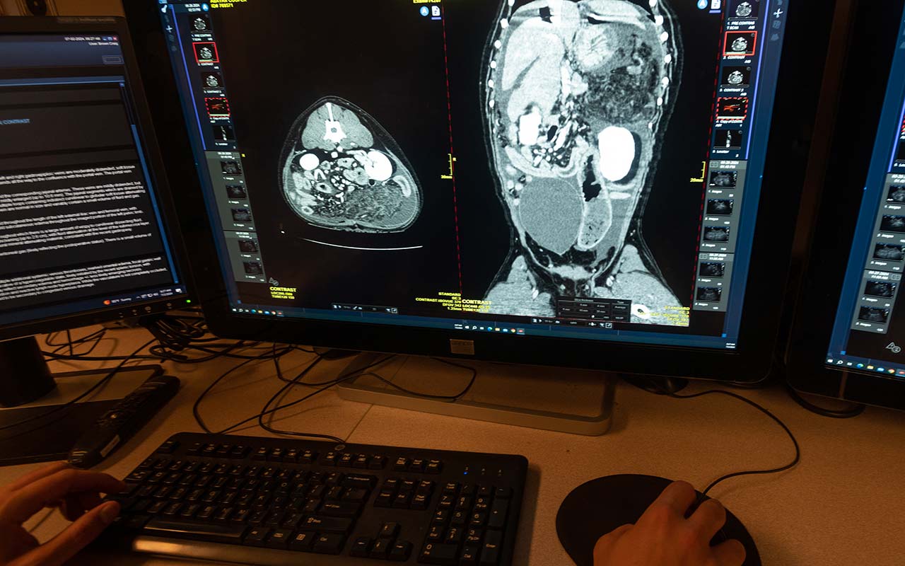 Computer screen showing black and white diagnostic imaging of a dog.