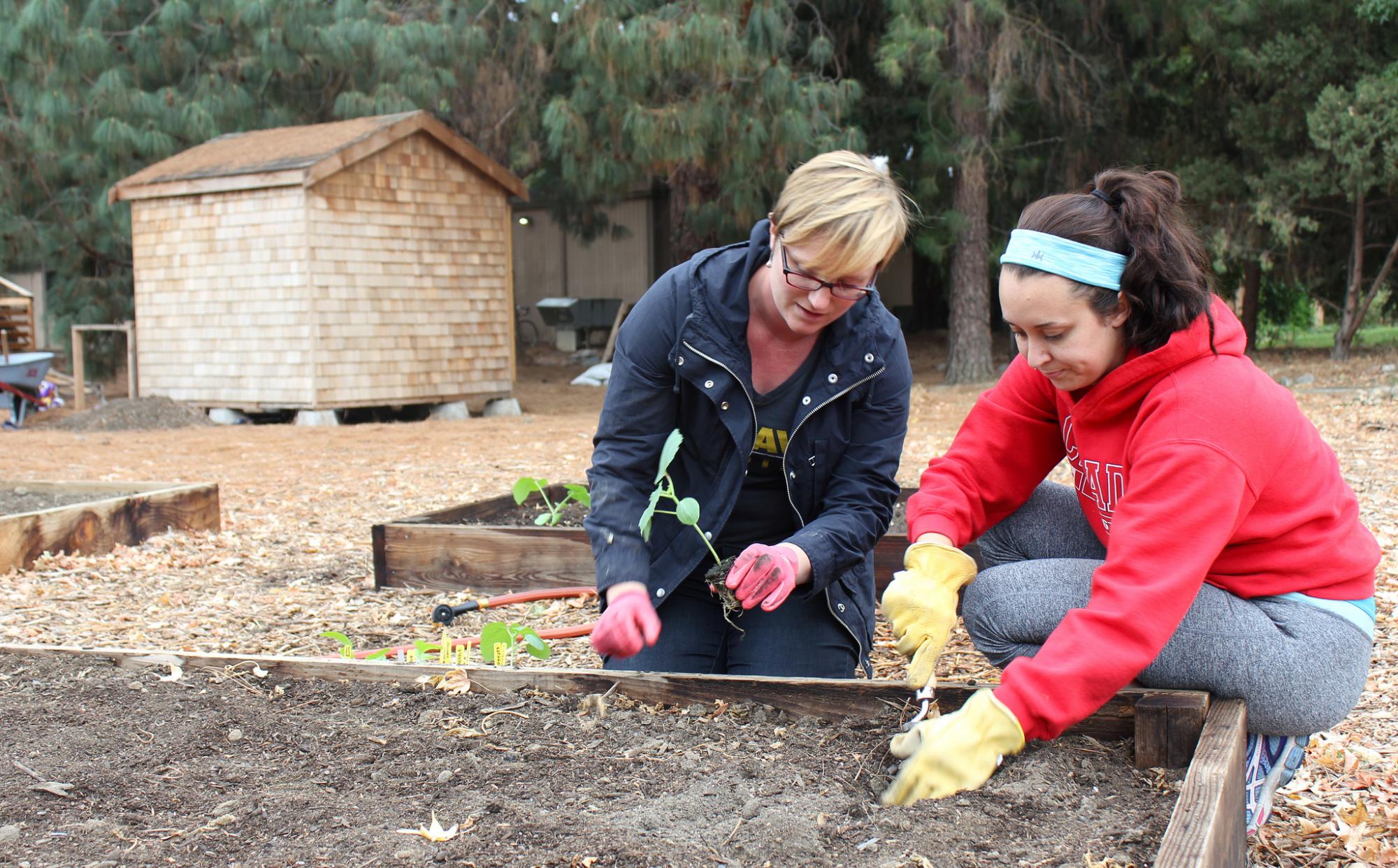 Britta Hansen and Elise Brockett plant okra and other vegetables at the Horticulture Innovation Lab Demonstration Center.