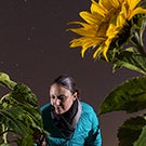 Nicky Creux with sunflowers.