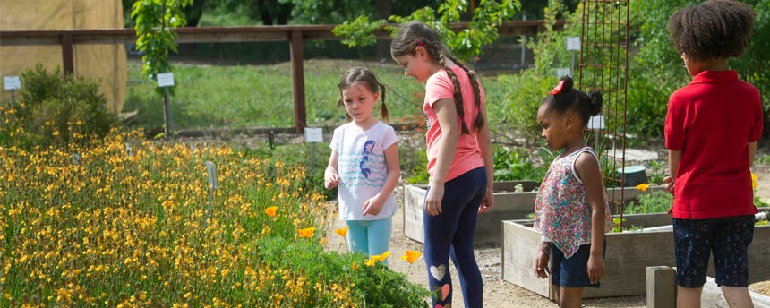 Children enjoy looking at the gardens and wildflowers on the UC Davis campus