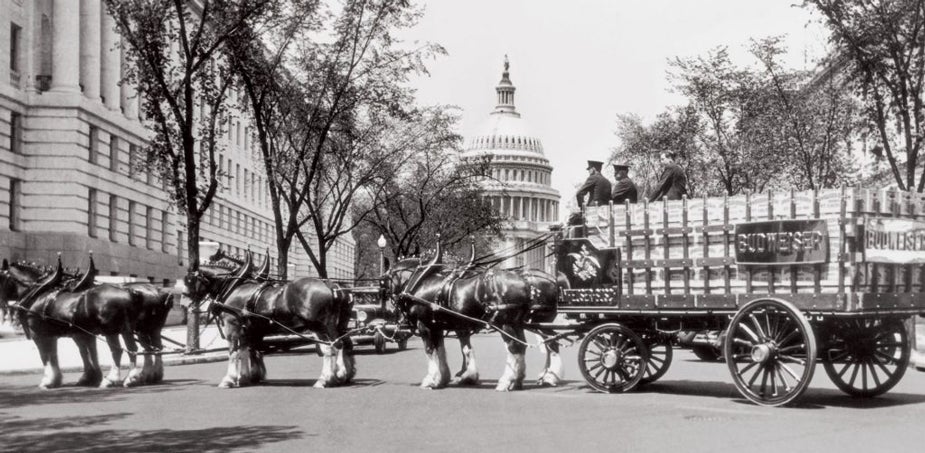 Budweiser horses and wagon at White House, black and white