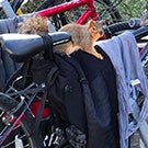 A squirrel sitting on a bike.