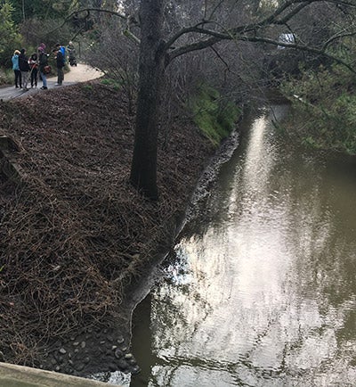 The Arboretum Waterway.