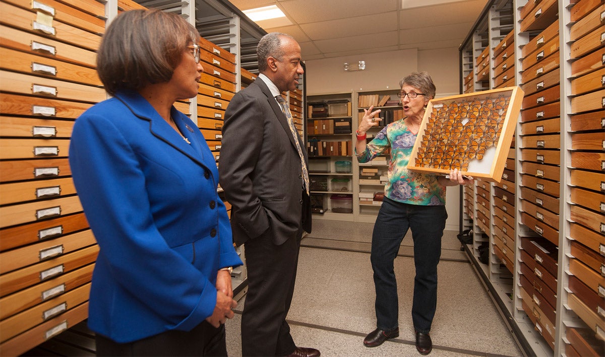 Helene Dillard and Gary May look at butterflies.