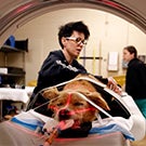 A dog receives a CT scan